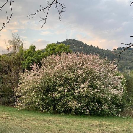 Laragh-On-Hogsback Exterior foto