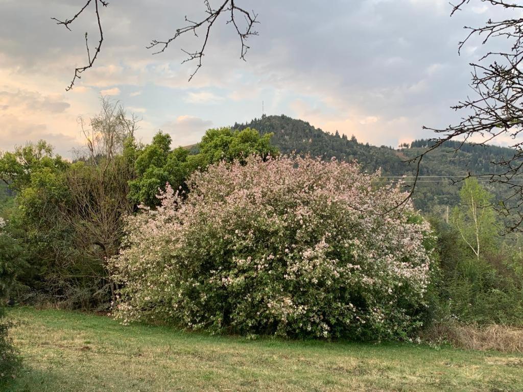 Laragh-On-Hogsback Exterior foto